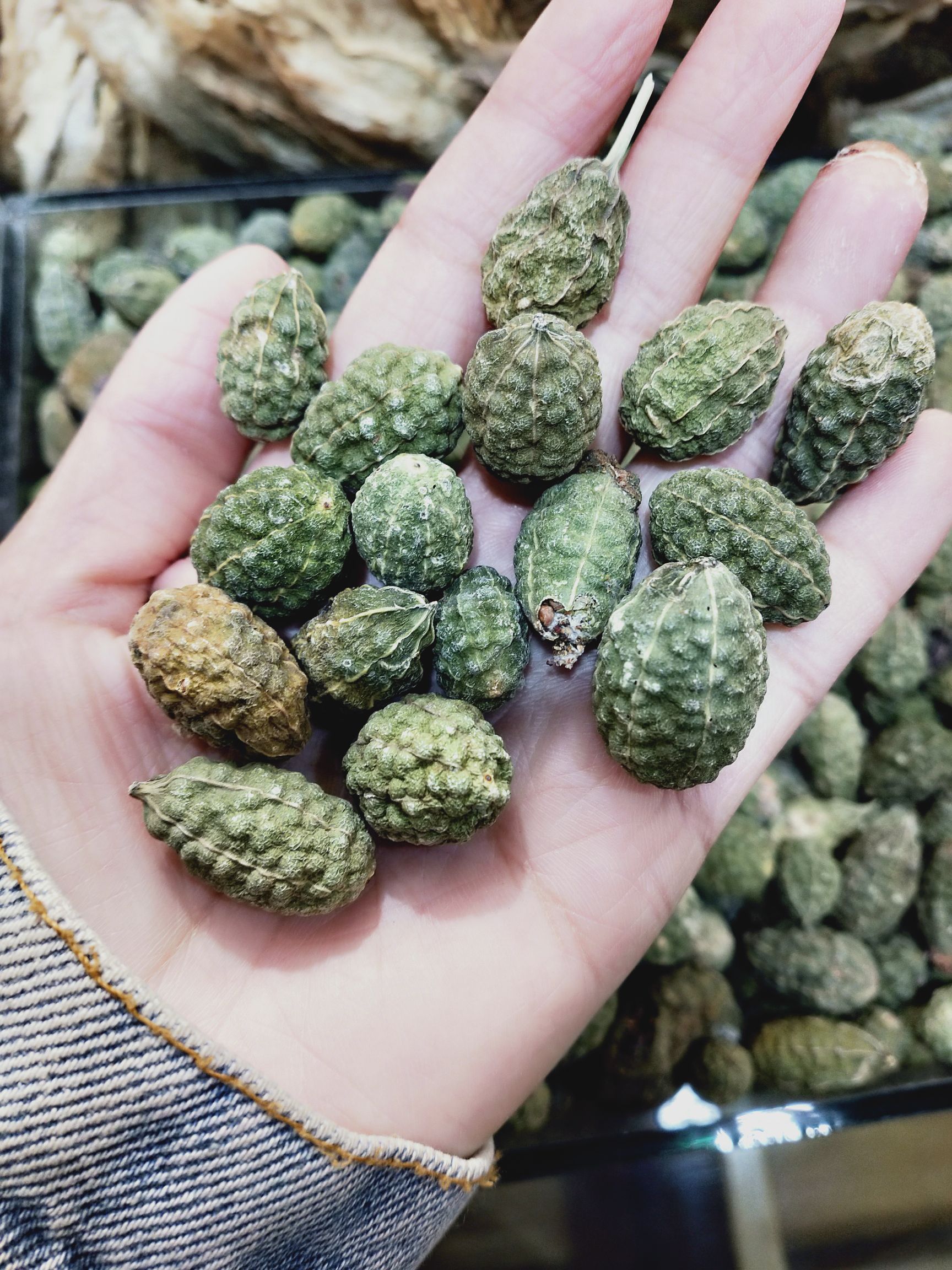 西瓜子  新疆吐鲁番野西瓜 颗粒饱满 成色好 没破果 外用