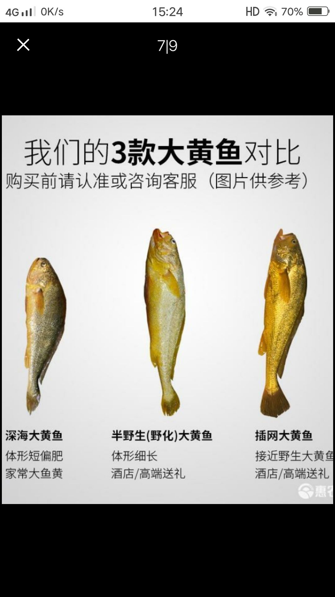 小黄鱼  东海黄鱼，身体苗条嘴唇鲜红。脑门直下，不弯。