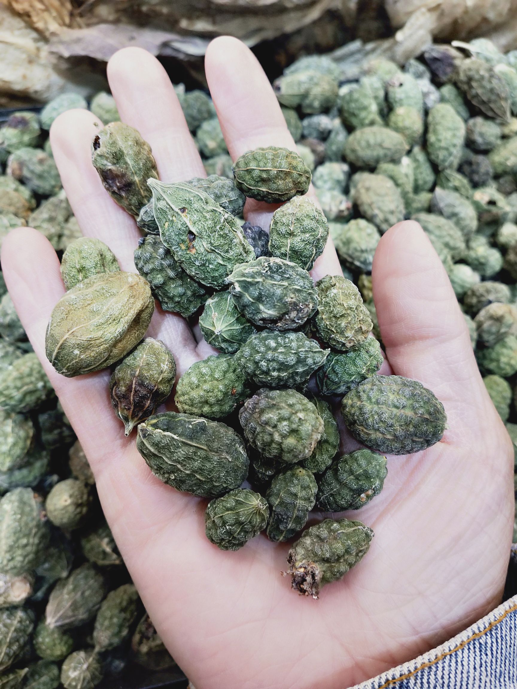 西瓜子  新疆吐鲁番野西瓜 颗粒饱满 成色好 没破果 外用