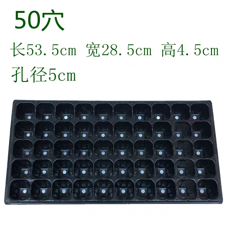 穴盘/育苗盘  穴盘 育苗盘 营养钵批发 32穴 50穴 72穴 128穴