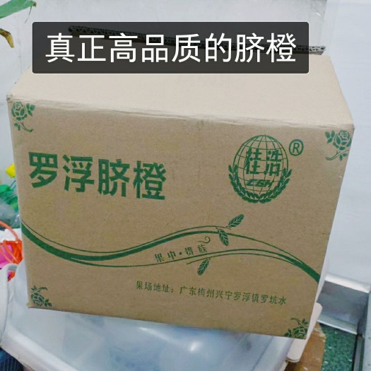 兴宁市脐橙  你再也不用担心买不到好吃的橙子了!招代里,自家果园一件代发。