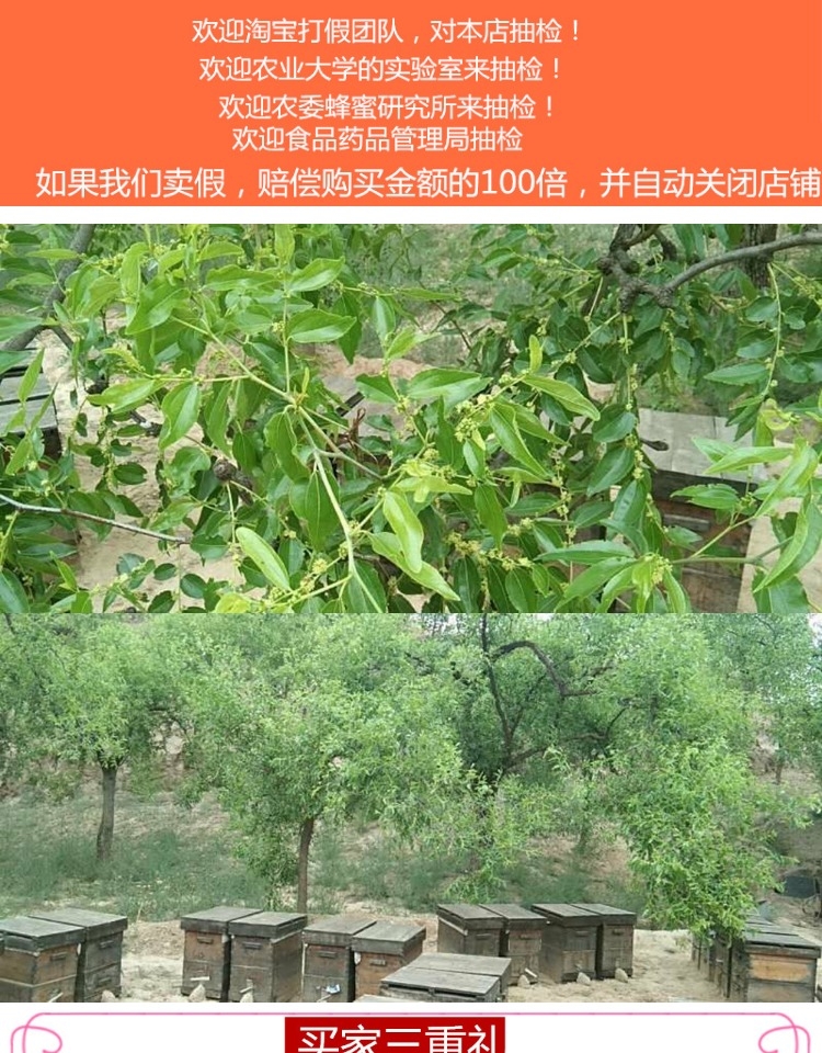 枣花蜜2020年纯正农家自产天然枣花蜂蜜