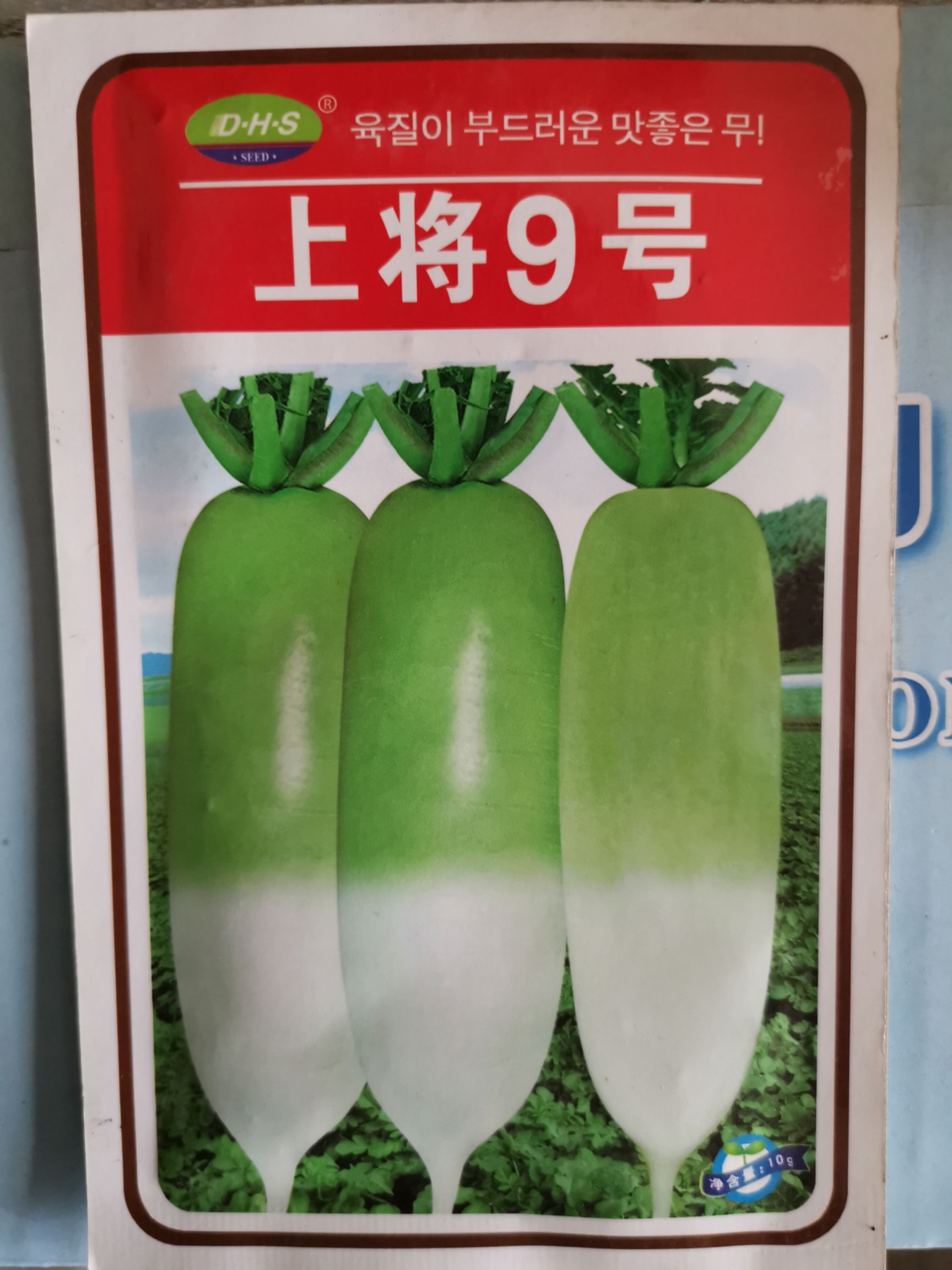 青萝卜种子  青头萝卜 上将9号