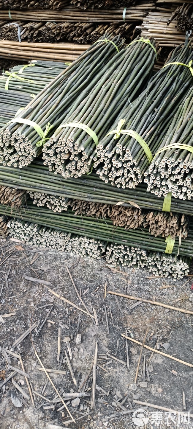 竹竿  1.5米至2.2米 火龙果专用 山药架
