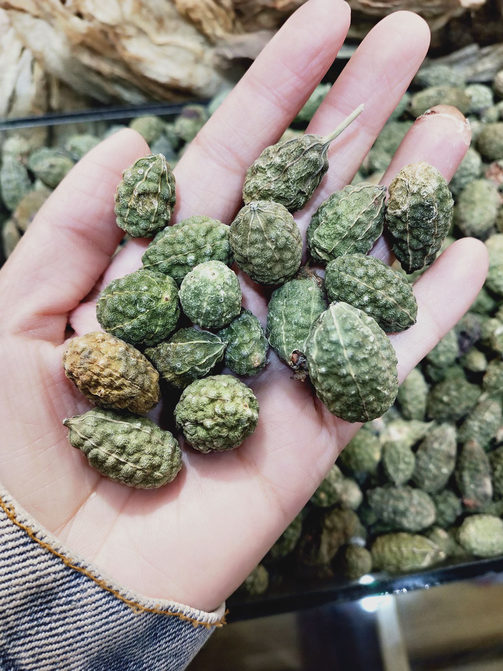 西瓜子  新疆吐鲁番野西瓜 颗粒饱满 成色好 没破果 外用