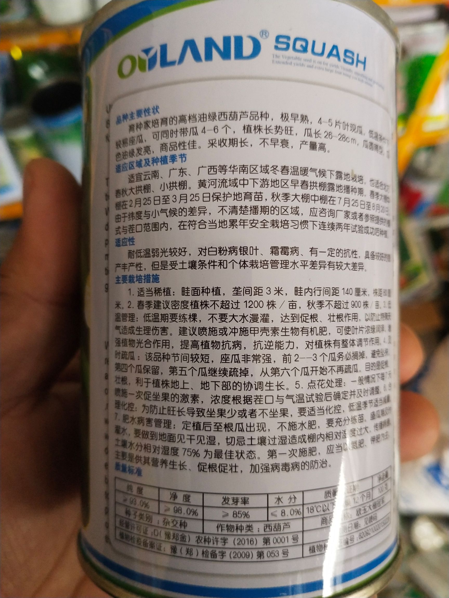 绿皮西葫芦种子 西葫芦种子 早熟品种 皮色油绿 产量
