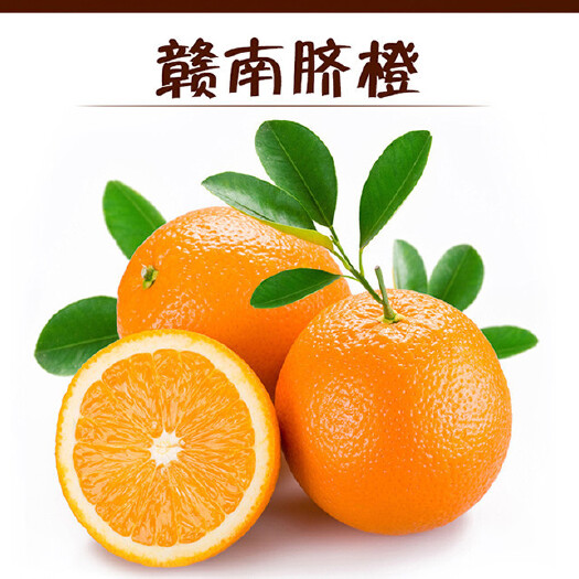 瑞金市赣南脐橙11月10日开园啦