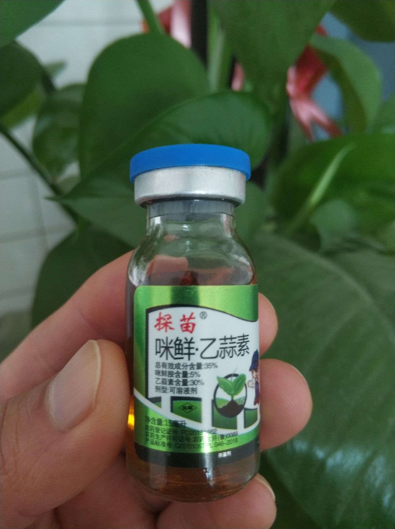 咪鲜乙蒜素  农药杀菌剂35%咪鲜胺乙蒜素15毫升/瓶水稻稻