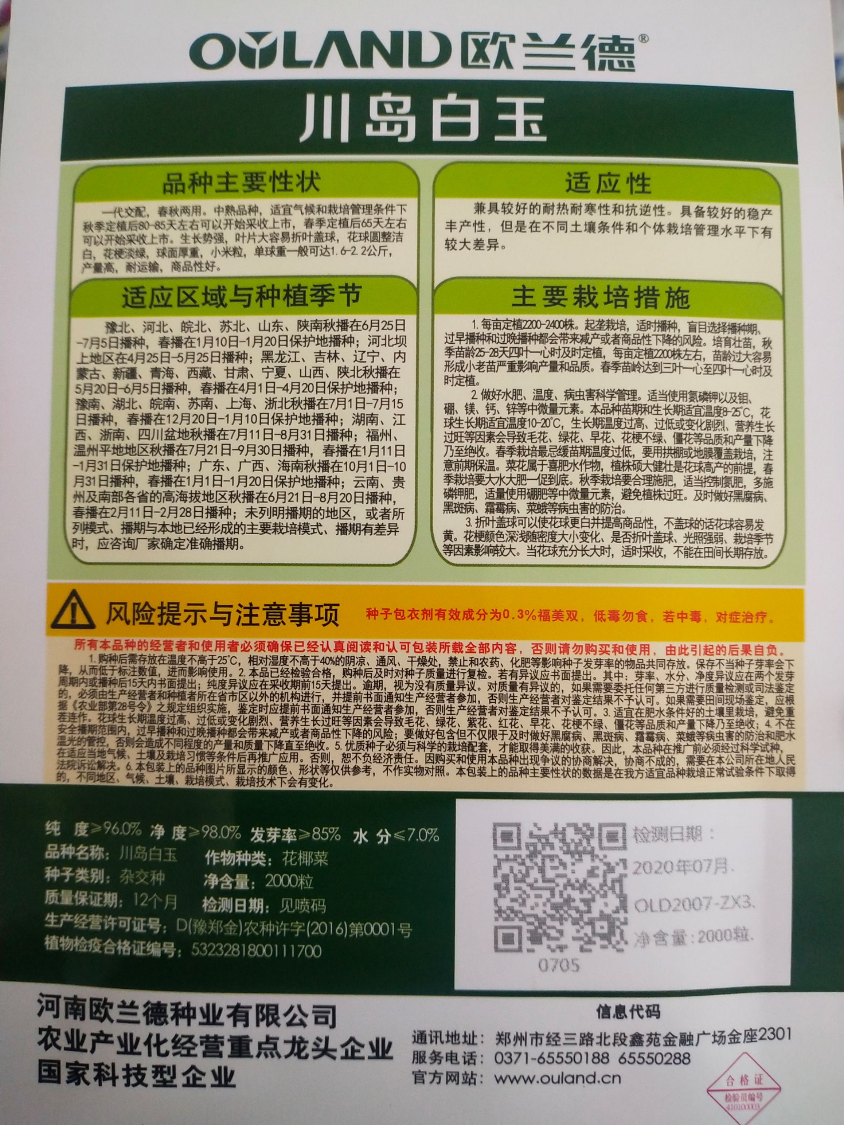 松花菜种子 川岛白玉 一代杂交 春秋两用 每亩2袋