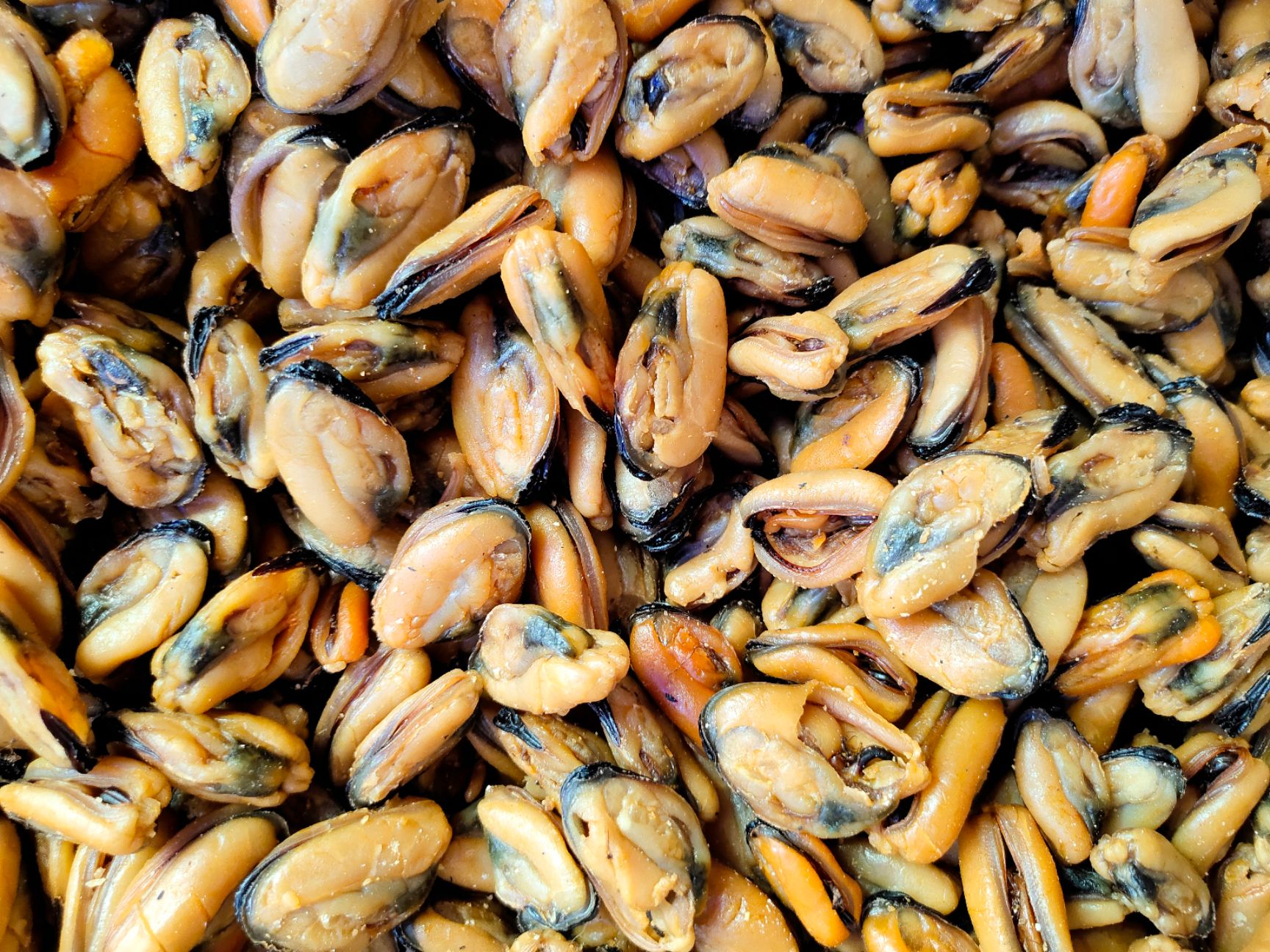 干贝特大淡菜一斤120粒左右干度足味道香海虹青口海鲜干货干海味