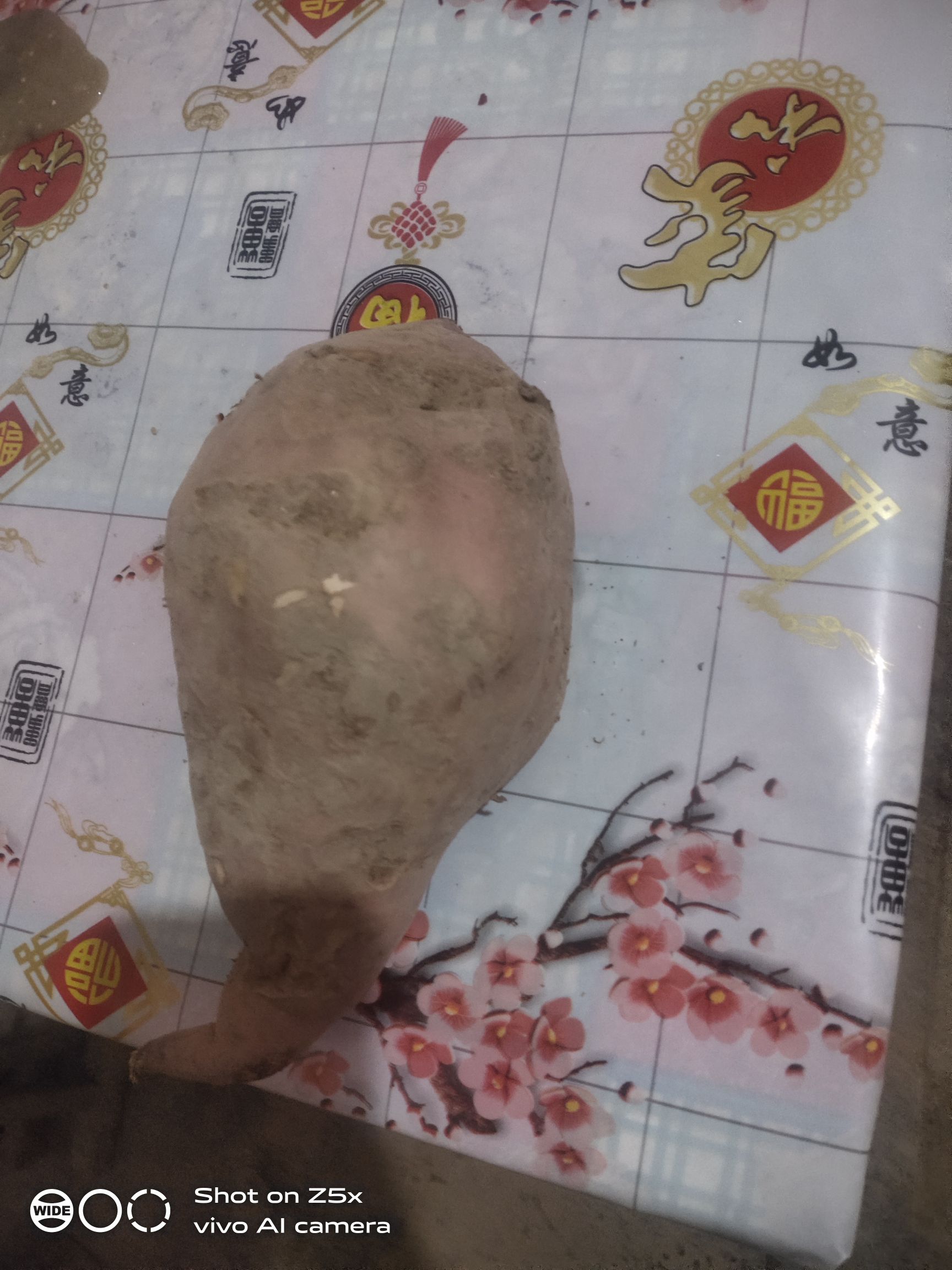 红东地瓜 6两~1斤 红皮