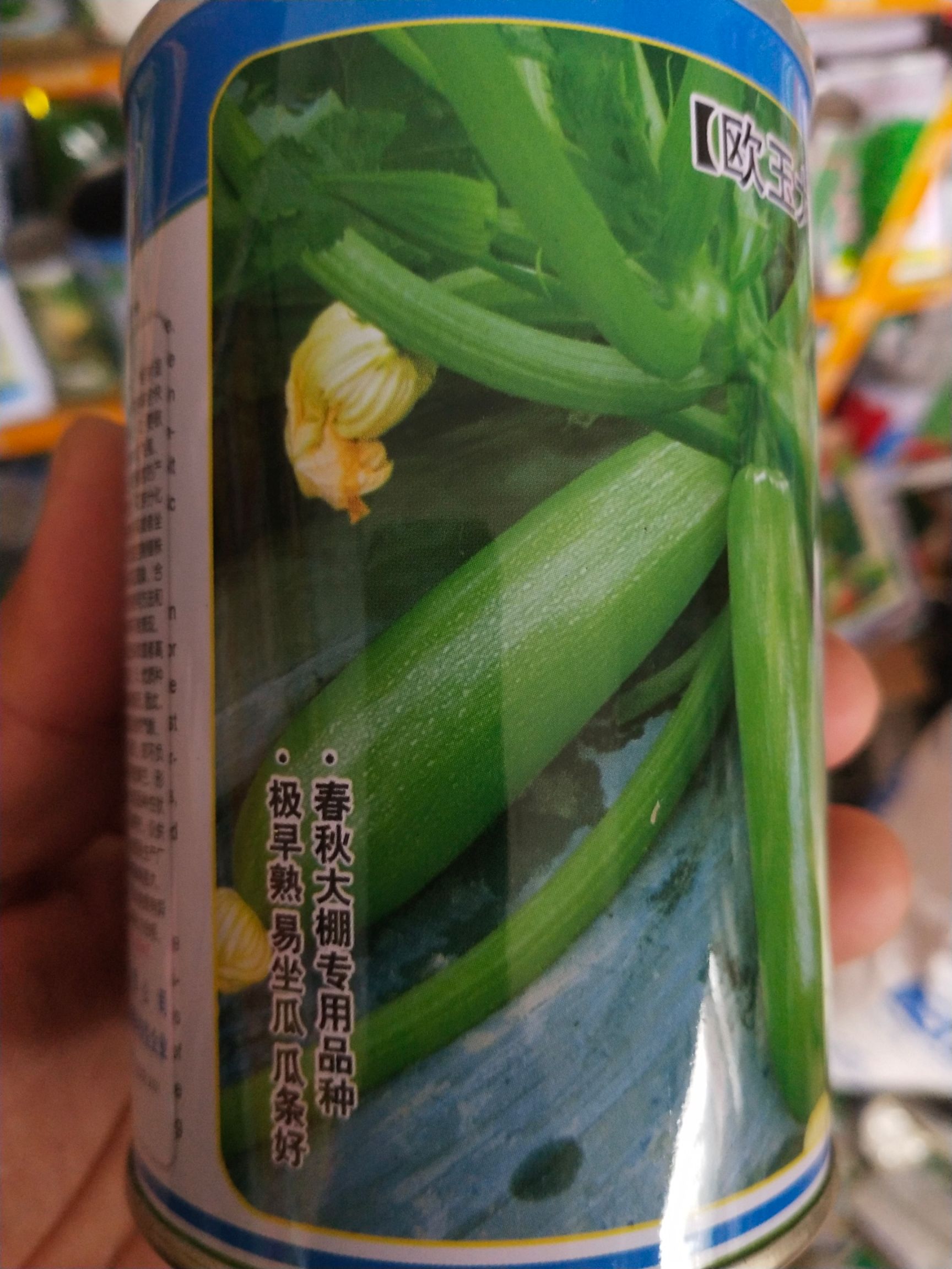 绿皮西葫芦种子 西葫芦种子 早熟品种 皮色油绿 产量