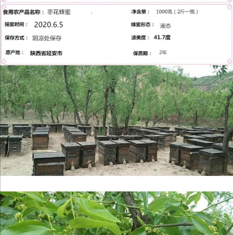 枣花蜜2020年纯正农家自产天然枣花蜂蜜