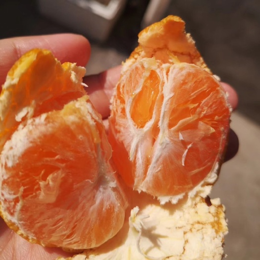 临海市蜜桔  涌泉蜜橘精品果涌泉早熟宫川核心产区涌泉蜜橘品质如一