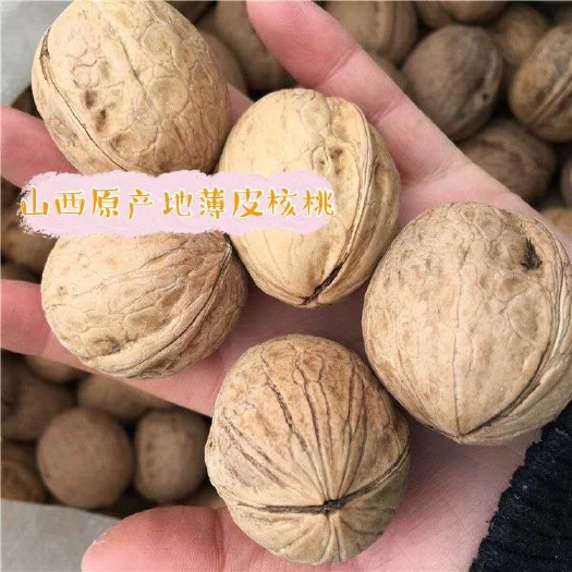 薄皮核桃  核桃  核桃仁 核桃仁批发 新货 品质好 全国包