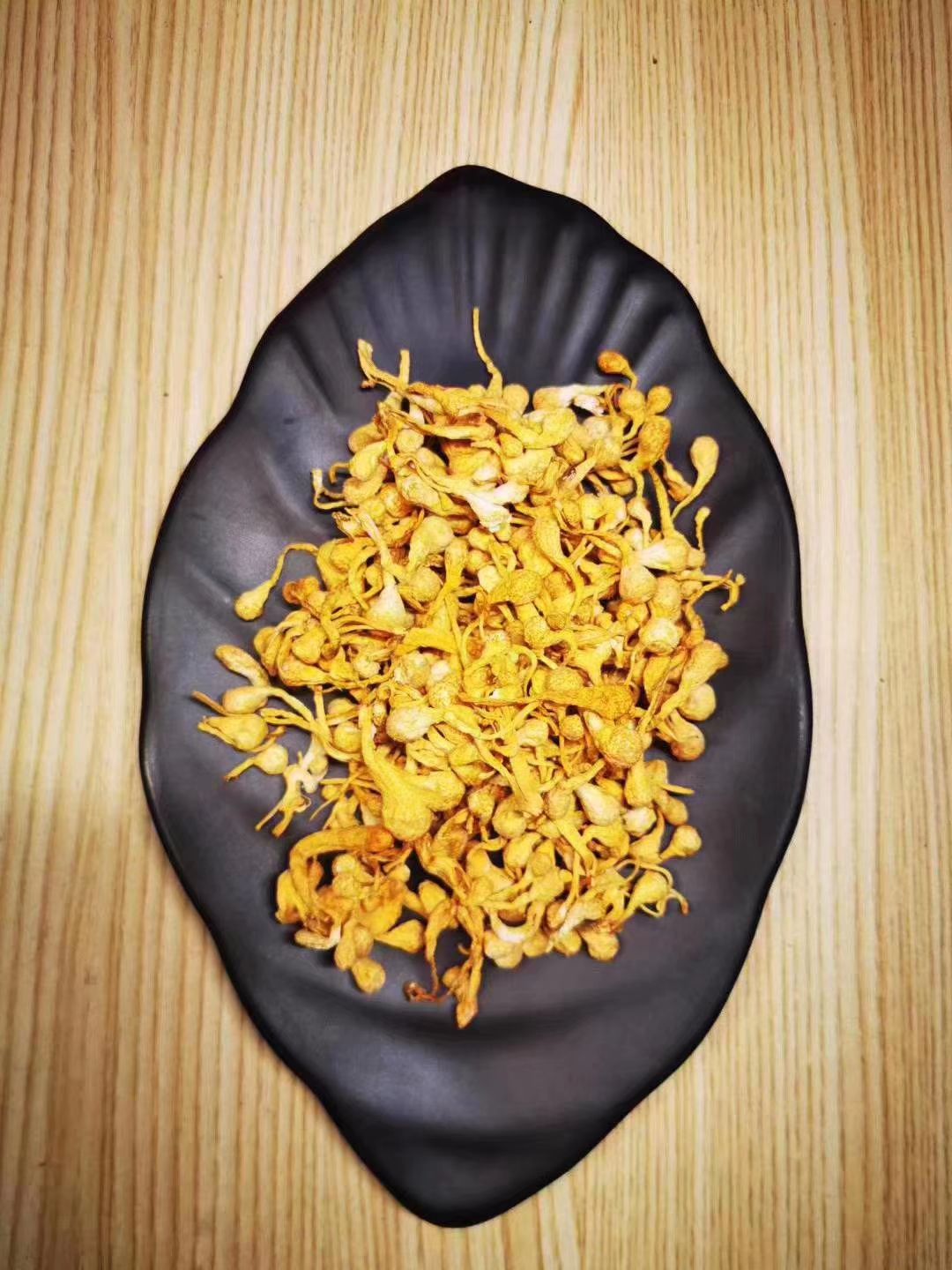 人工培植虫草花  虫草花