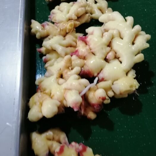 惠水县小黄姜 基地直销