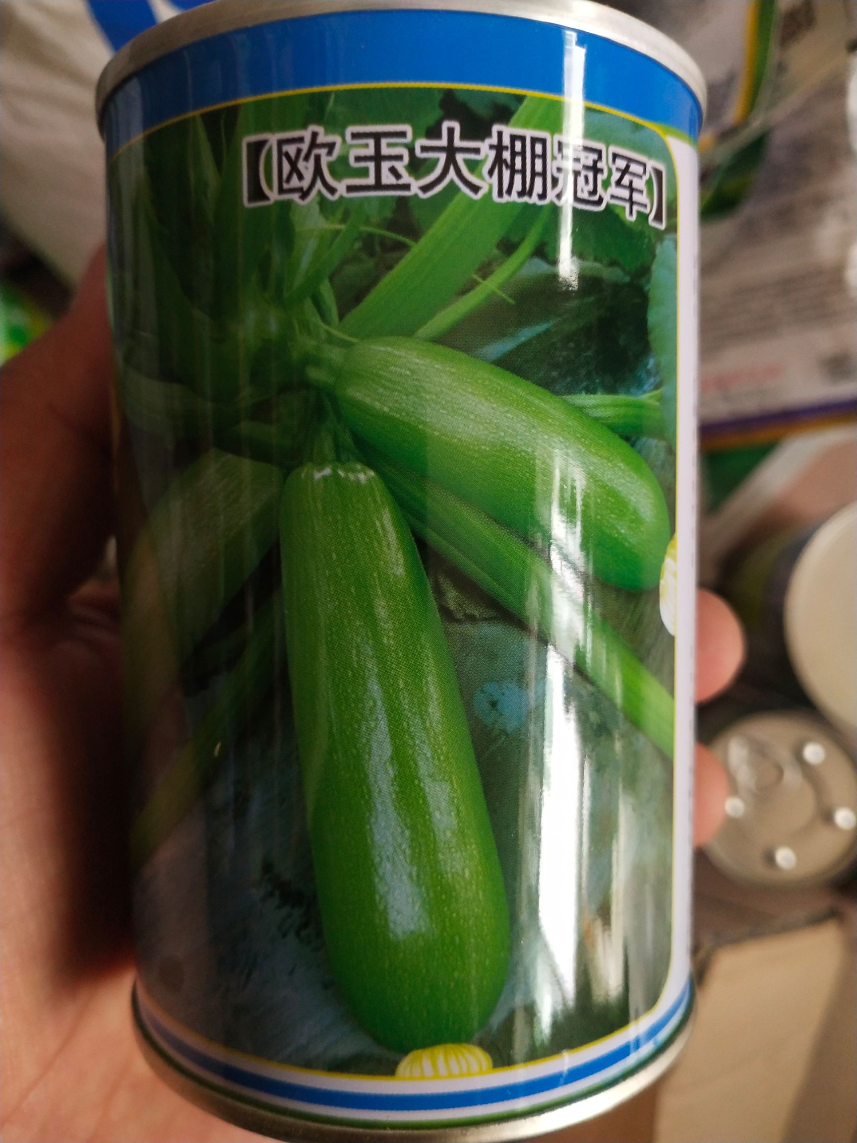 绿皮西葫芦种子 西葫芦种子 早熟品种 皮色油绿 产量