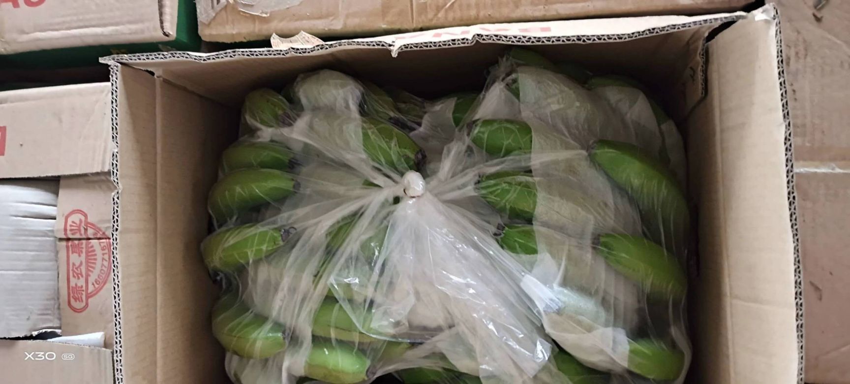 威廉斯香蕉 自产