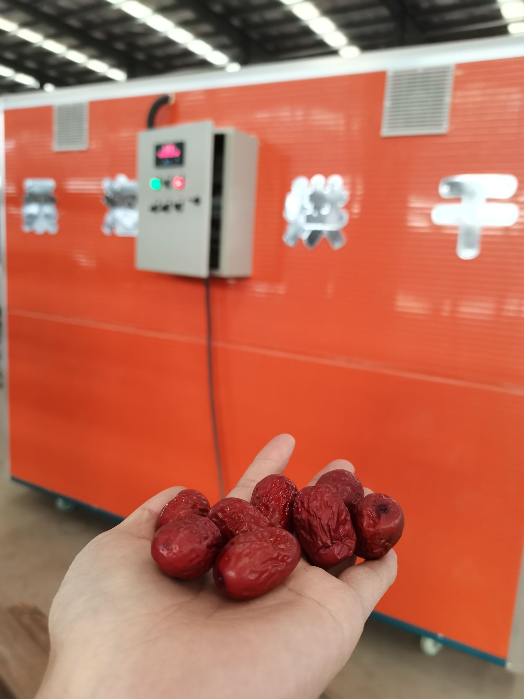 烘干房  菊花烘干设备鲜花可烘烤400～500斤附带60个烤盘