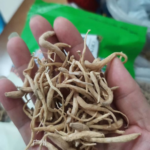 广州 贵州太子参，具有，健脾生津润肺。