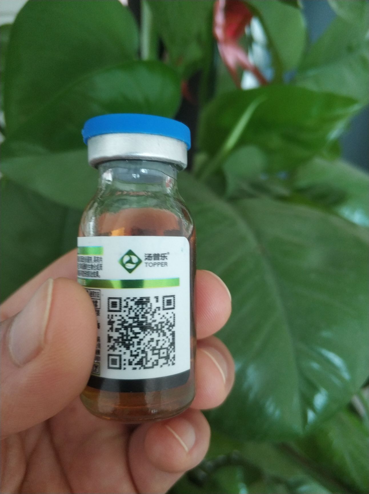 咪鲜乙蒜素  农药杀菌剂35%咪鲜胺乙蒜素15毫升/瓶水稻稻