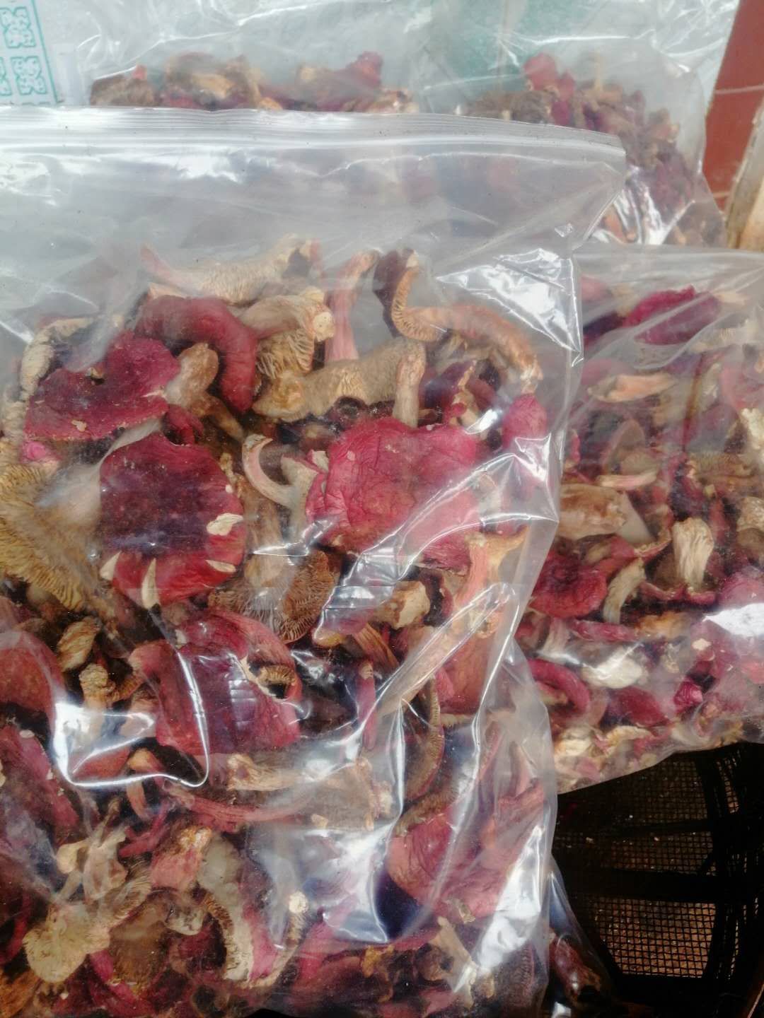 云南红菇