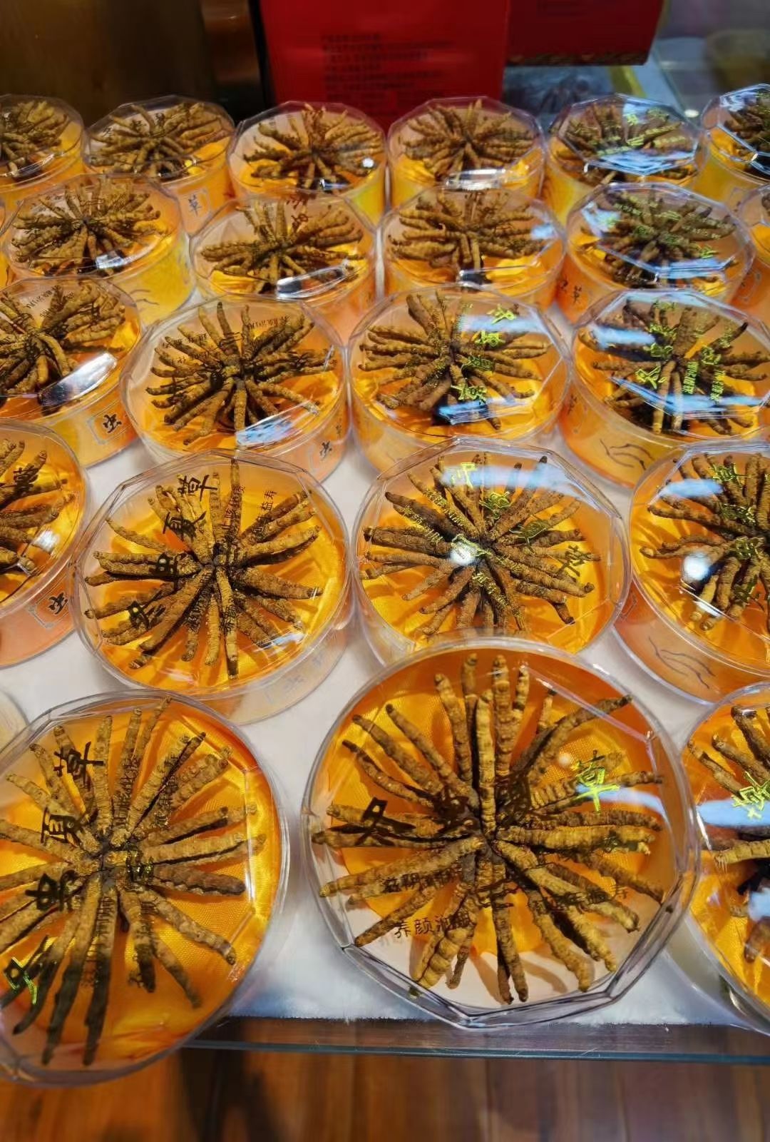 冬虫夏草  原产地供货，虫草10克一盒，零售店老板订制