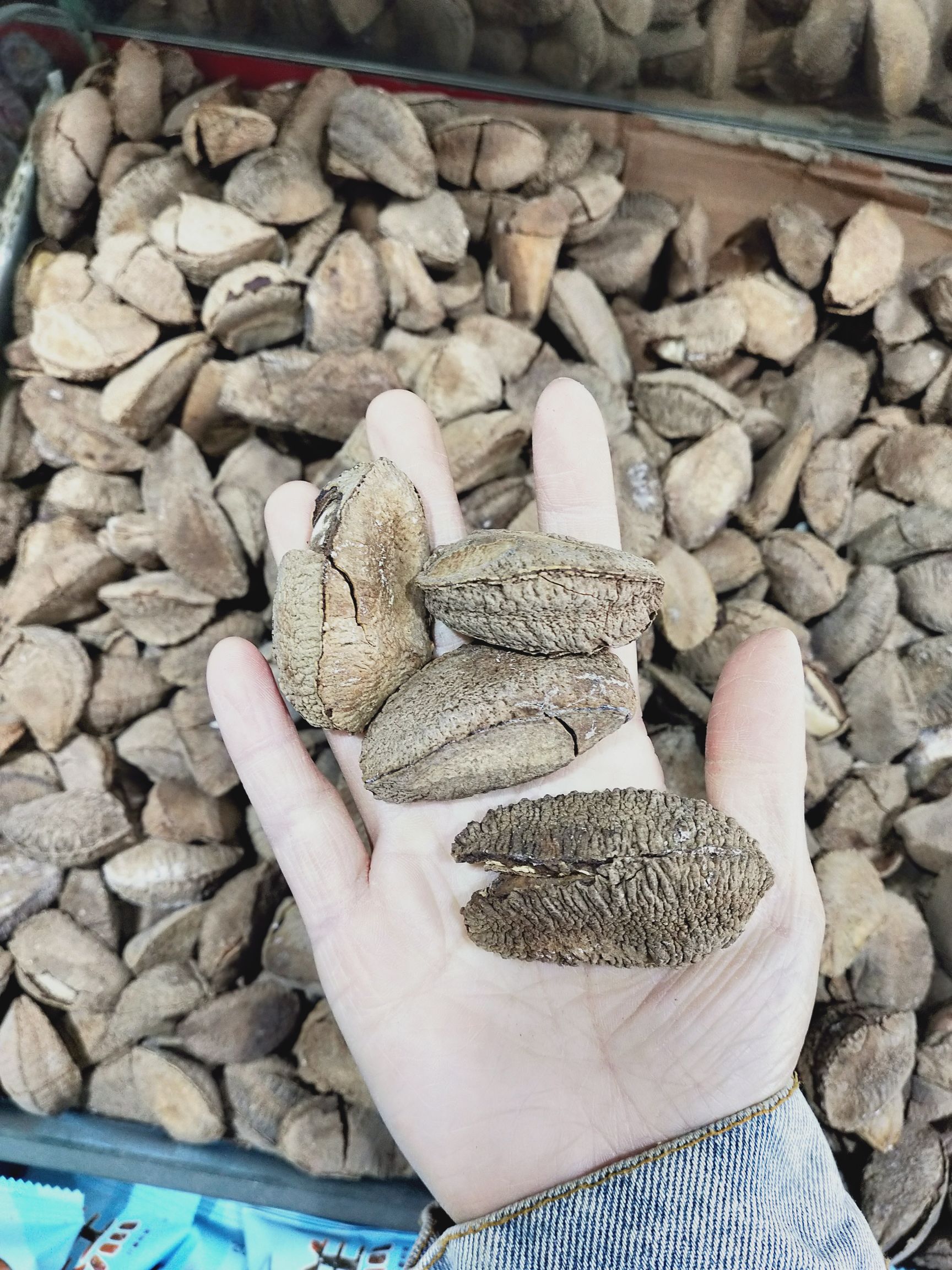  特级鲍鱼果沙漠果 送开口器 休闲零食香脆坚果