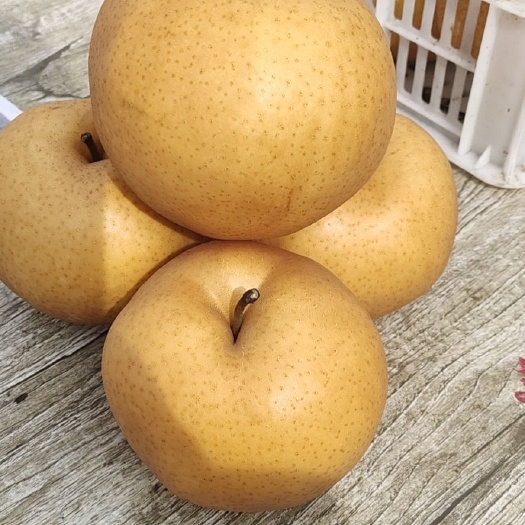 漯河晚秋黄梨 70mm以上 60-100g 