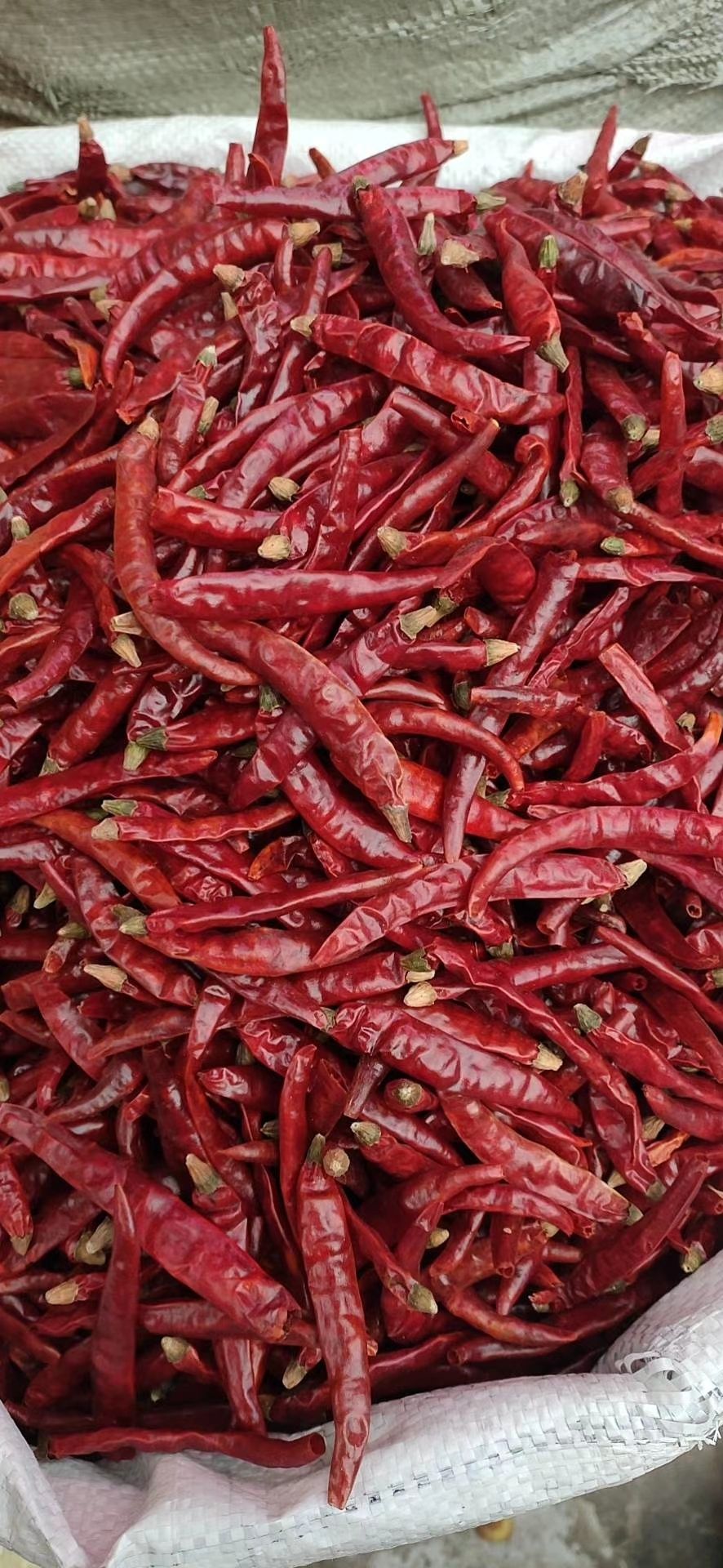 贵州海椒  干辣椒 提色 增香 提辣味全系列