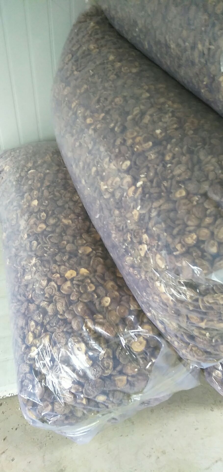 花菇 精品香菇，干货！专业代办