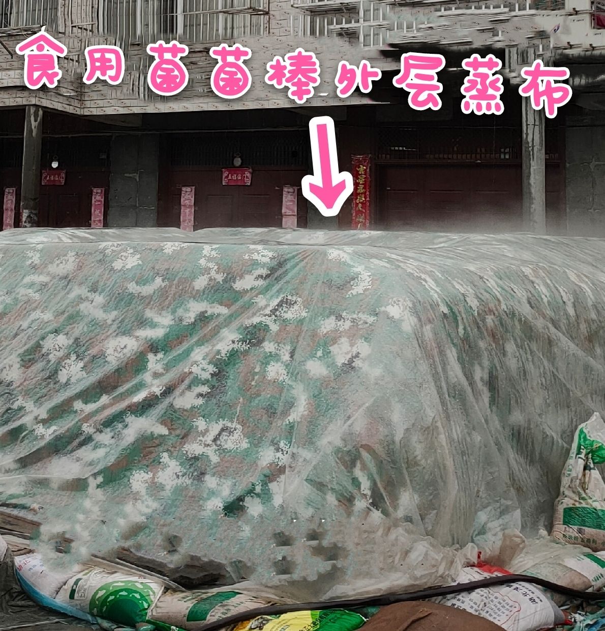 食用菌菌棒防护蒸布  食用菌蒙古包防护布保护布隔温布袋料灭菌