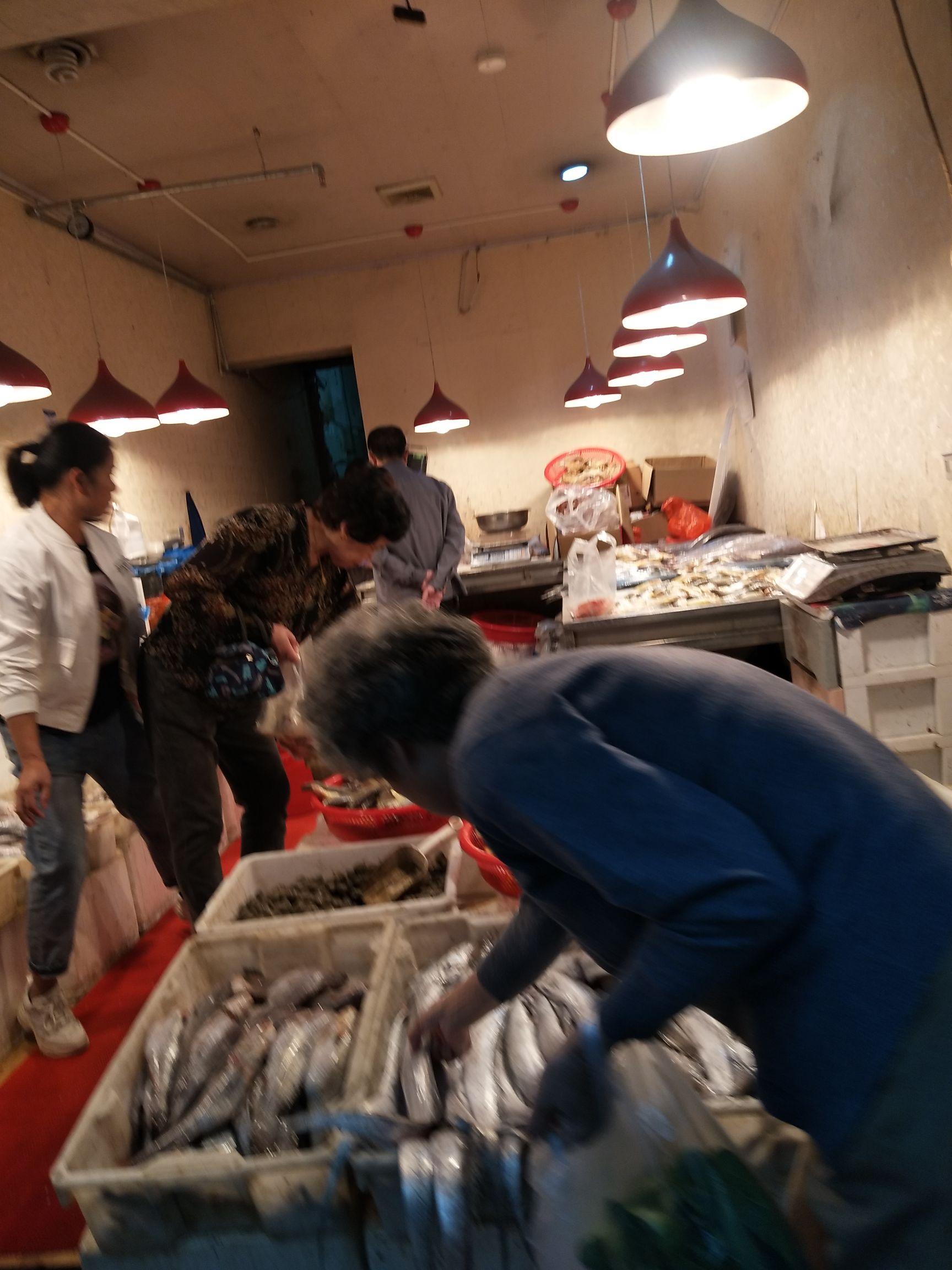 小黄鱼  东海黄鱼，身体苗条嘴唇鲜红。脑门直下，不弯。