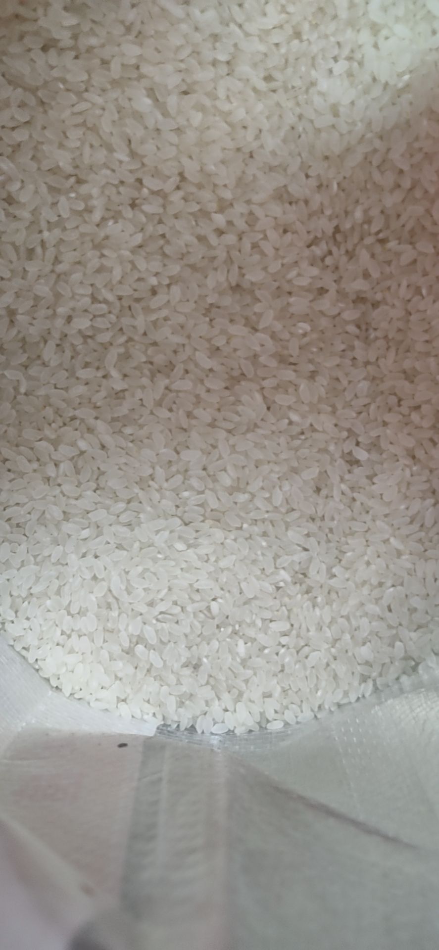  东北大米味道好口感好自己田地里产的。支持样品验货！