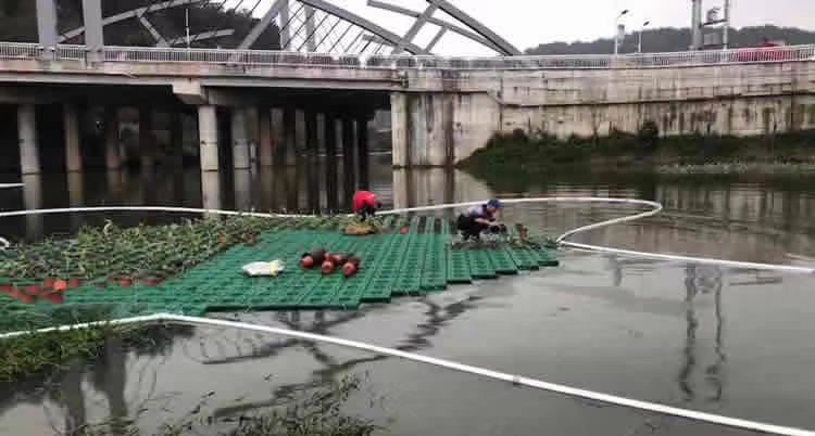 生态浮床 浮岛