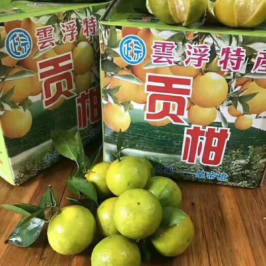 云浮产地直销皇帝柑，爽甜，可批发，零售，价格可议