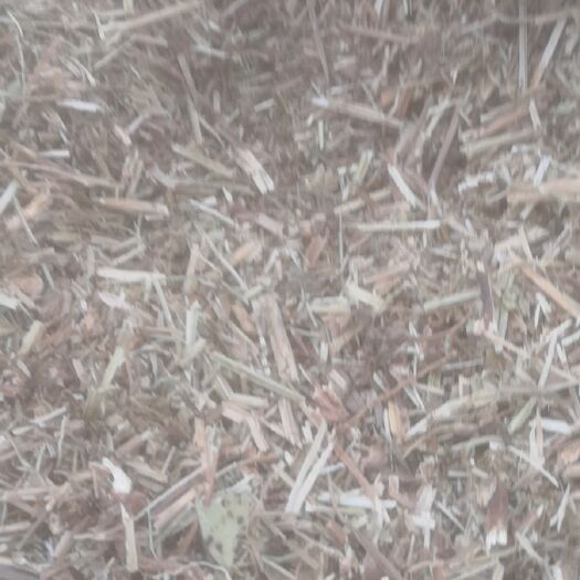 延津县花生秧  保质保量，量大从优