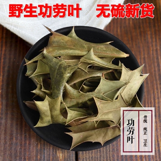 内江功劳叶.中药材拘骨叶.猫儿刺.老鼠刺中药材十大功劳.叶子