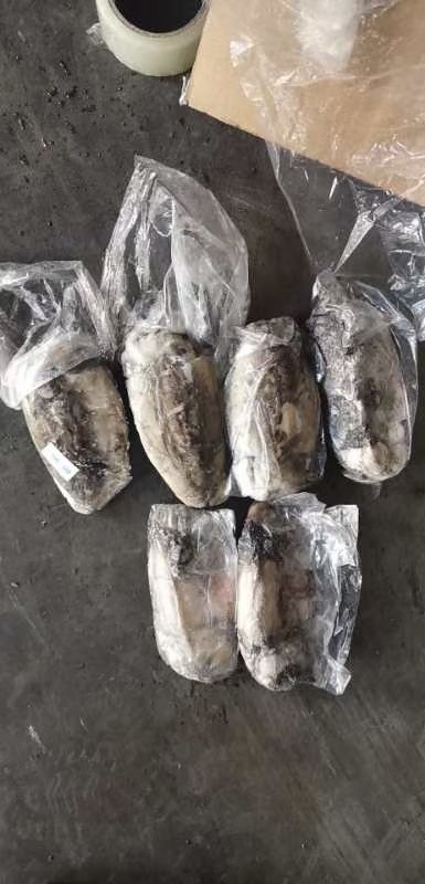昆山市 印尼墨鱼