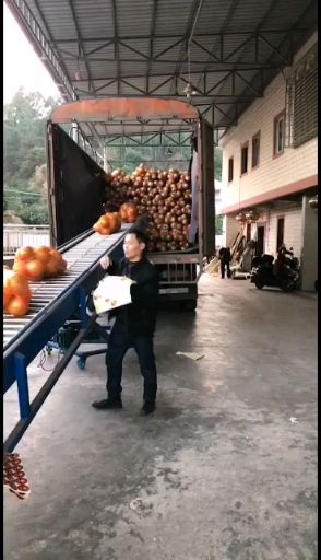沙田柚 金柚之乡 梅州金柚 批发 市场 蜜甜 新鲜 代发