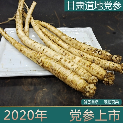渭源县白条党参 自家党参、养血生津、增强体质