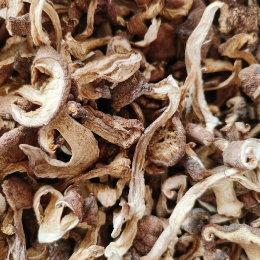 花菇 （一件代发）野生蘑菇菌  干净亮丽  干货500g起发