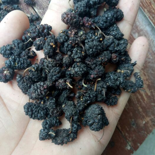 亳州黑桑葚  药用桑葚质优价美产地一手货源性价比高 欢迎咨询选购量大从优