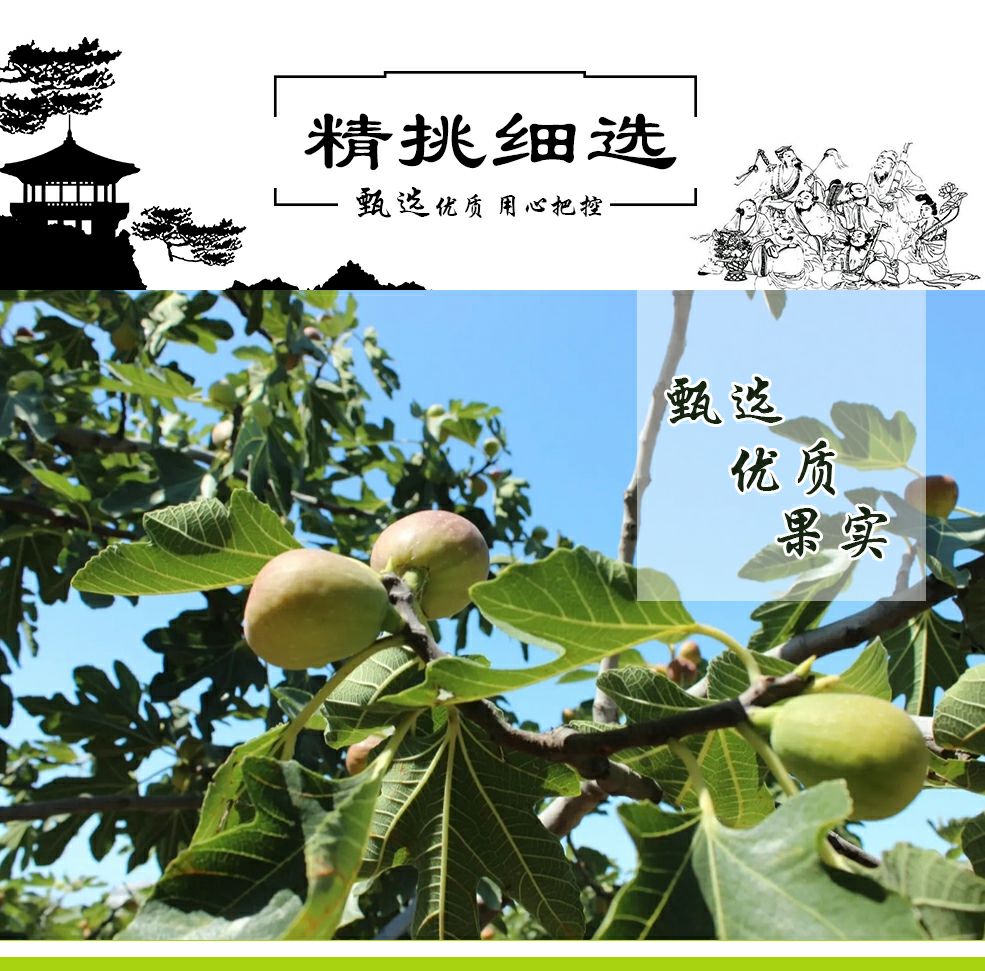 蓬莱仙境无花果干，鲜果烘干，无糖 口感软糯香甜