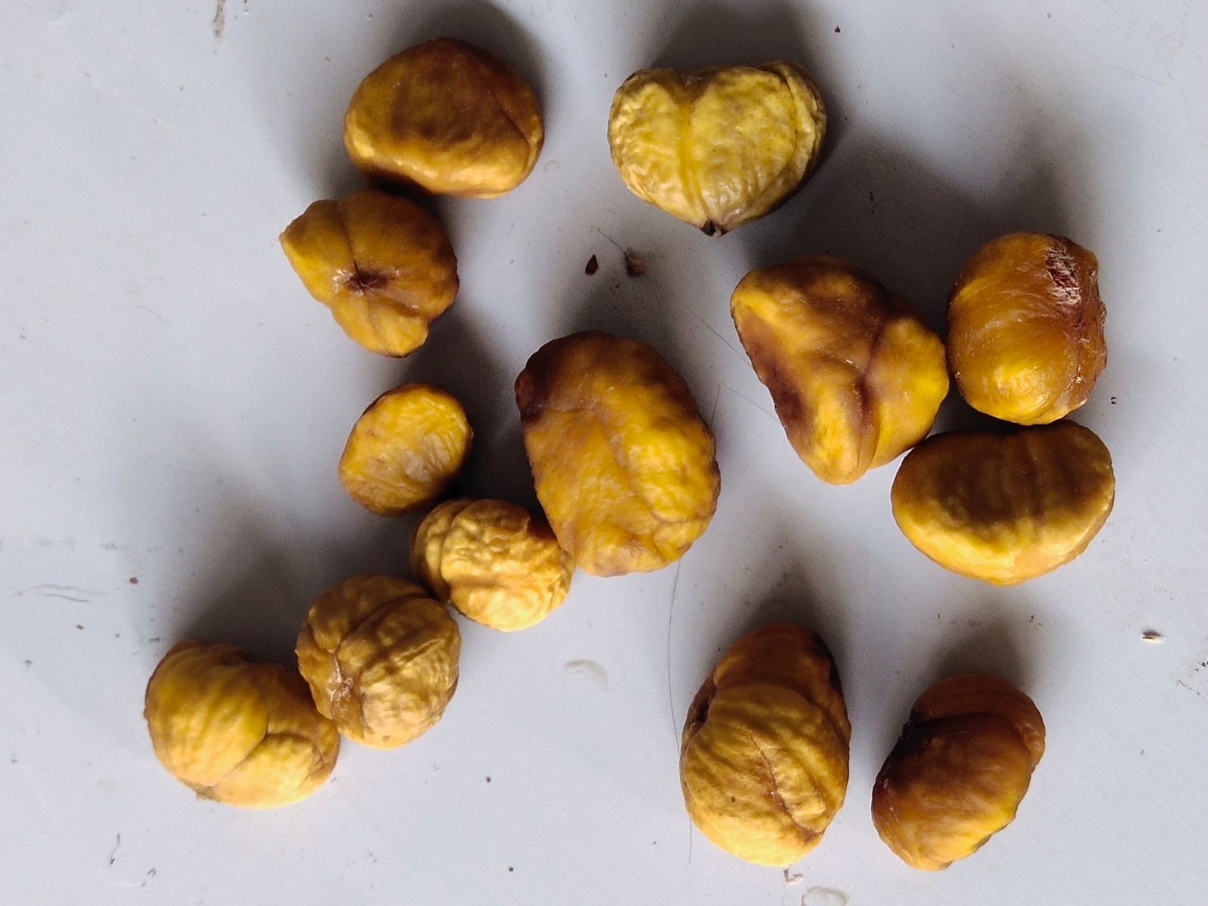 广西板栗 广西东兰干板栗