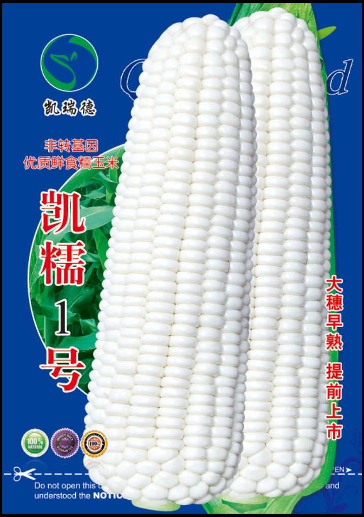 凯糯1号白糯玉米种子白粘玉米种子大穗早熟