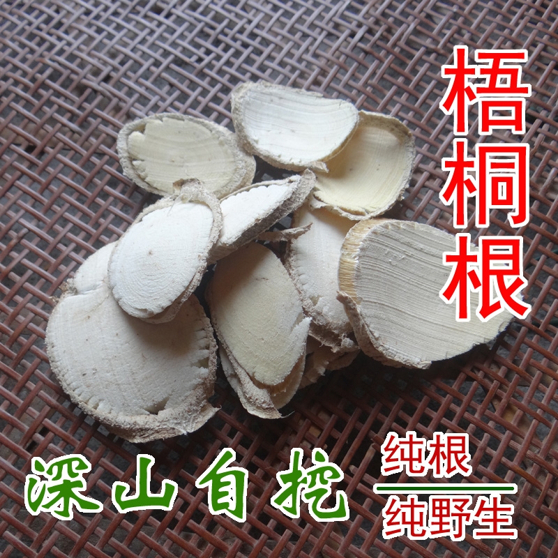 梧桐树种子  梧桐根.青皮梧桐.中药材梧桐树根.桐麻树根.飘儿树根.