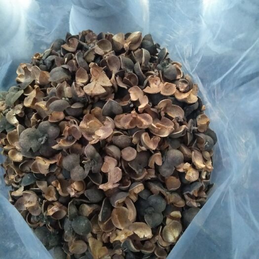 崇左野生红茶 这里就是古树茶发原地。这就是茶壳茶汤和茶壳的样子。