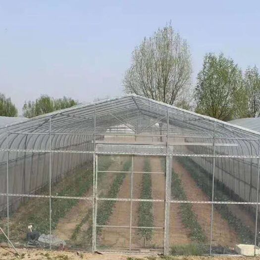 沭阳县 蔬菜大棚